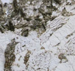 Brunolucchetti